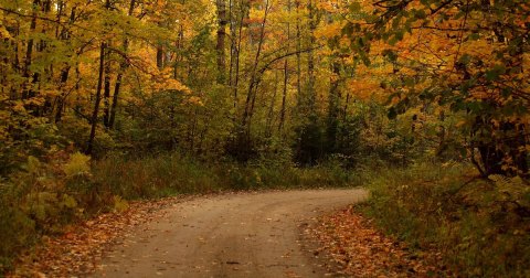 The 10 Best Backroads In Minnesota For A Long Scenic Drive