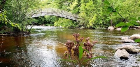 Take A Journey Through This McClintock County Park, A One-Of-A-Kind Bridge Park In Wisconsin