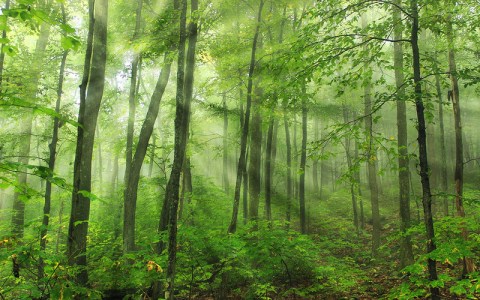 Rider Park In Pennsylvania Looks Like Something From Another Planet