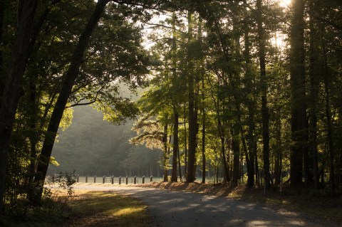 Enjoy A Breezy Hike Around A Shimmering Lake At Trap Pond State Park In Delaware