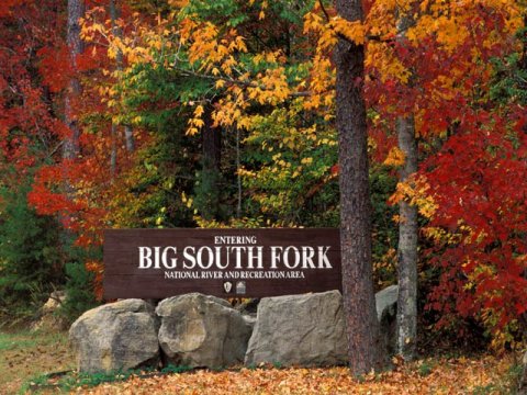 Visit Big South Fork National River, An Idyllic Isolated Spot In Tennessee For People Who Want To Avoid Crowds