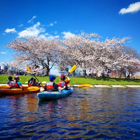 Spend An Afternoon Taking A Delightful Kayak Paddling Tour Through Boston In Massachusetts This Summer