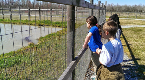 Adventure Awaits The Whole Family At Greenwood Gator Farm In Louisiana