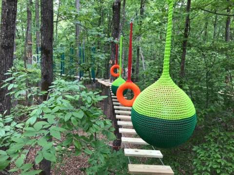 With Rental Cabins And A Treetop Walk, Explore Park In Virginia Will Bring Out Your Inner Adventurer