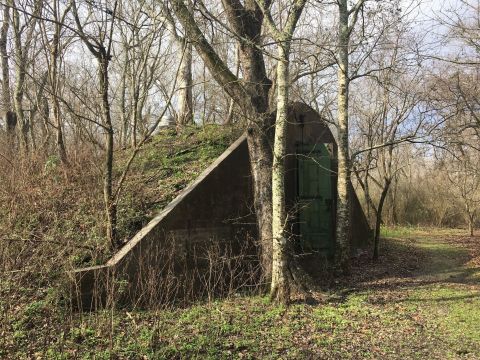 The Remote Hike To The Woodlands Conservancy In Louisiana Winds Through A Collection Of WWII Relics