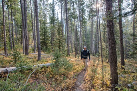 The 2,000-Mile, Statewide Birding Trail In Idaho Is Perfect For Wildlife Enthusiasts