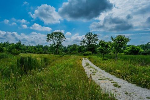 7 Of The Greatest Short And Sweet Hiking Trails In Greater Cleveland For Beginners