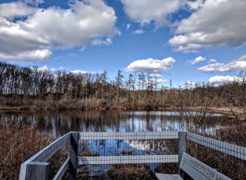 Triangle Lake Bog The Most Remote, Isolated Spot Close To Cleveland And It's Positively Breathtaking