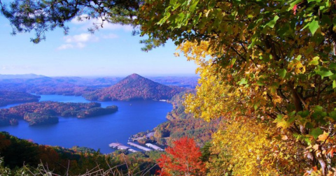 The 11 Best Backroads In Tennessee For A Long Scenic Drive