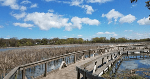 Window On The Waterfront Might Just Be Michigan's Prettiest Springtime Park