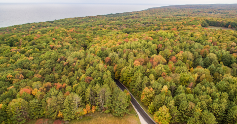 The 9 Best Backroads In Michigan For A Long Scenic Drive