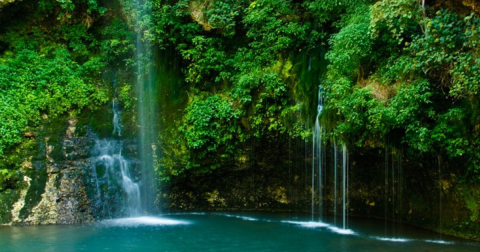 Dripping Springs Trail Is A Beginner-Friendly Waterfall Trail In Oklahoma That's Great For A Family Hike