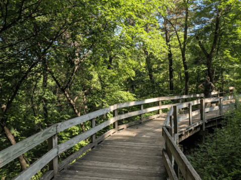 Meet Nearly 400 Different Animal Species At Fontenelle Forest Nature Center In Nebraska