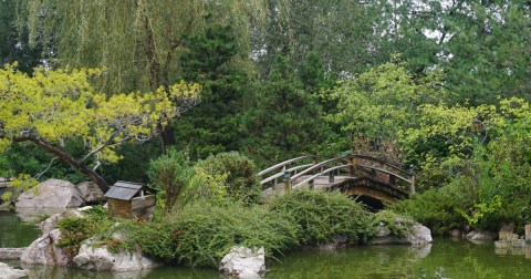 Take In The Tranquil Japanese Garden At The ABQ BioPark In New Mexico