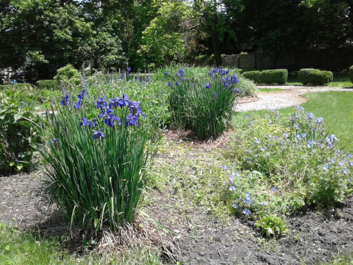 Indian Village Centennial Garden