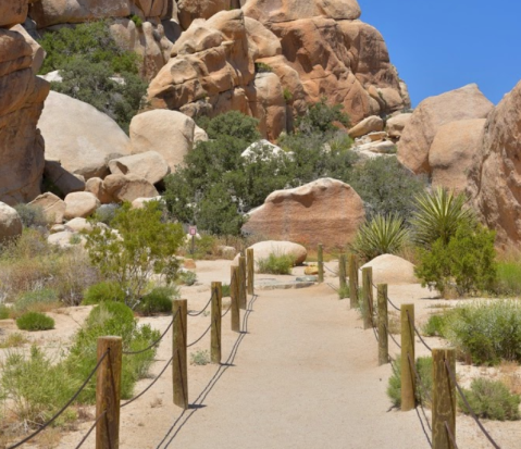 Take An Easy Loop Trail To Enter Another World At Hidden Valley Nature Trail In Southern California