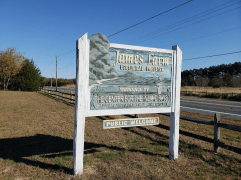 There's A Hidden Beach Tucked Away In At James Farm Ecological Preserve Delaware