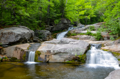 Take An Easy Out-And-Back Trail To Enter Another World At Step Falls Preserve In Maine