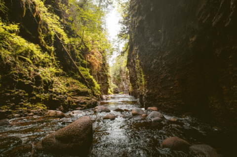 Take An Easy Out-And-Back Trail To Enter Another World At Kadunce River In Minnesota