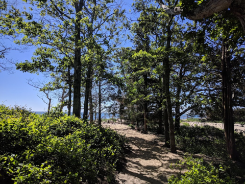 Take A Stroll Down To An Other-Worldly Remote Beach On Ellisville Harbor State Park Trail In Massachusetts