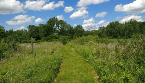 LeFurge Woods Nature Preserve Is The Most Remote, Isolated Spot Close To Detroit And It's Positively Breathtaking