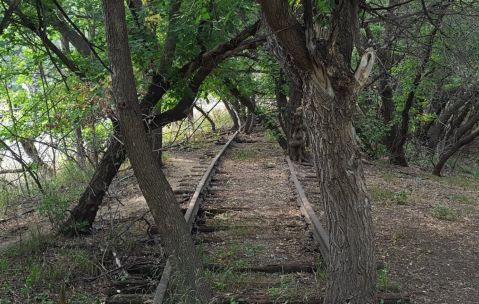 Walk Alongside A River, Abandoned Railroad Track, And More On The Bison Plant Trail In North Dakota