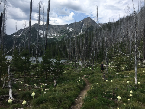 Retrace The Footsteps Of Lewis & Clark On The Alice Creek Trail In Montana