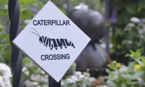 Norfolk Botanical Garden Of Virginia Is Home To The State's Largest Butterfly House And Maze