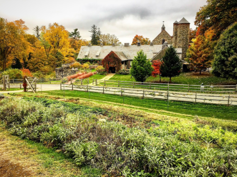 Drive Out To Blue Hill At Stone Barns, A Farmhouse Restaurant In New York That's Worth The Scenic Trip