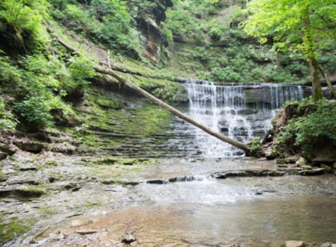 You Can Practically Drive Right Up To The Beautiful Jackson Falls In Tennessee