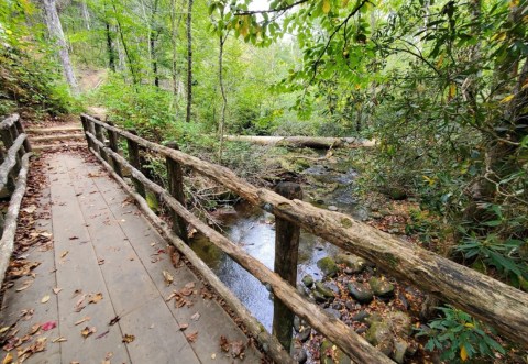 Take An Easy Loop Trail To Enter Another World At  Joyce Kilmer Memorial Forest In North Carolina
