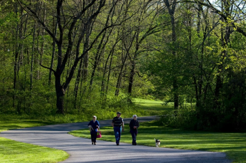 A Waterfall And Cave Make The Blowing Springs Trail Perfect For Arkansas Explorers