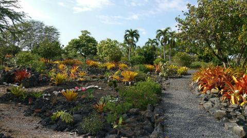 Take An Easy Loop Trail To Enter Another World At Maka’eo In Hawaii