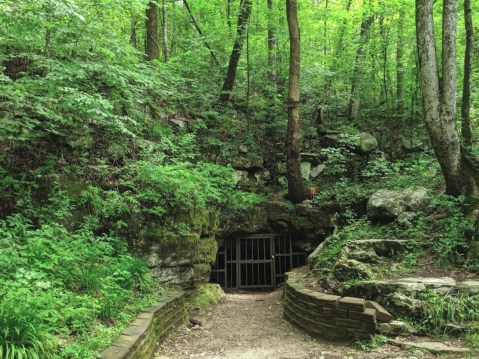 Visit One Of America's Coolest Caves At Tumbling Rock Cave Preserve In Alabama