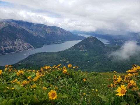 5 Beautiful Hiking Trails In Washington's Columbia River Gorge, Where Spring Comes Early