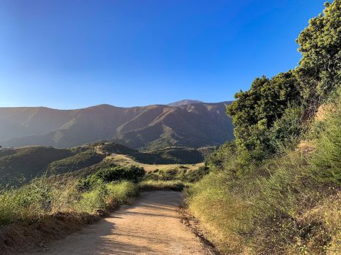 The Refreshing Nature Trail In Southern California, At Claremont Hills Wilderness Park, Where You Can Escape From The City
