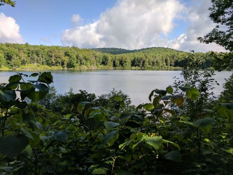 Hike To One Of The Most Remote Peaks In Massachusetts On The October Mountain Loop Trail