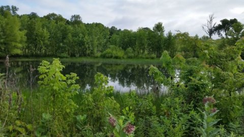 Take An Easy Loop Trail To Enter Another World At Glenwood Gardens In Ohio