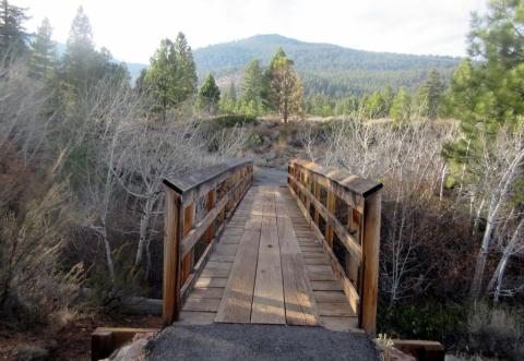 Visit Galena Creek, An Idyllic Isolated Spot In Nevada For People Who Want To Avoid Crowds