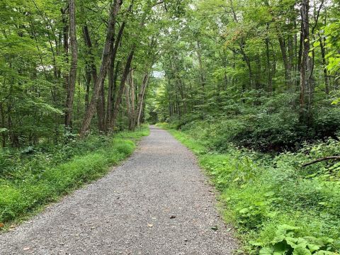 Rose River Tail Is A Scenic Creekside Hike In Virginia That Leads To A Picturesque Waterfall