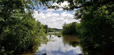 Find The First Signs Of Spring In Delaware Along The Loop Trail In Killens Pond State Park