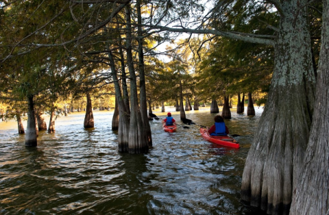 Paddle The Day Away At This Cornerside Arkansas State Park