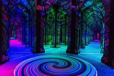 Challenge Yourself To A Rainforest-Themed Mirror Maze At OdySea Aquarium In Arizona