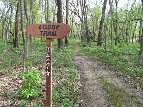 Iowa's Pammel State Park Is Home To Some Of The Oldest Living Trees In America