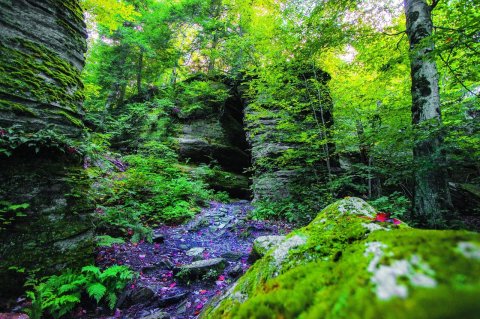 People Have Been Exploring Panama Rocks Scenic Park Near Buffalo Since 1885