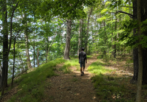 West Thompson Lake Campground Is One Of The Most Scenic Places To Camp This Spring In Connecticut