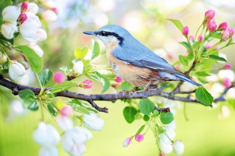 Enjoy A Whole Host Of Free Online Nature-Related Activities Thanks To New Jersey's Tenafly Nature Center