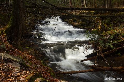 Take An Easy Out-And-Back Trail To Enter Another World At Stony Brook Falls In New Jersey