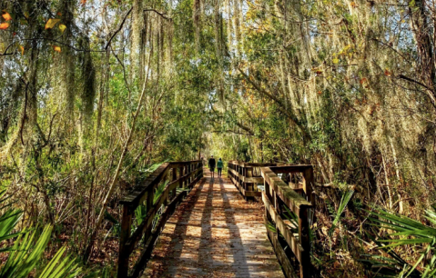 The Bayou Coquille Trail Near New Orleans Will Take You To A Beautiful Emerald Lagoon