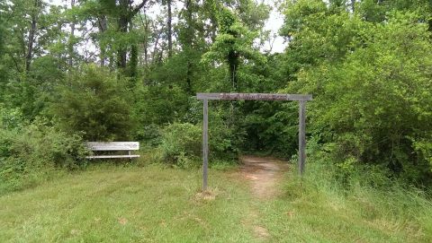 The Monkey Trail In Louisiana Will Make You Think You've Been Transported To The Jungle